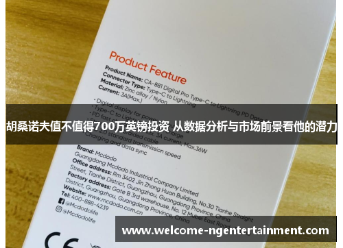 胡桑诺夫值不值得700万英镑投资 从数据分析与市场前景看他的潜力