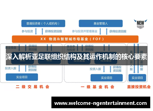 深入解析亚足联组织结构及其运作机制的核心要素