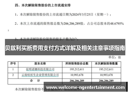 贝兹利买断费用支付方式详解及相关注意事项指南