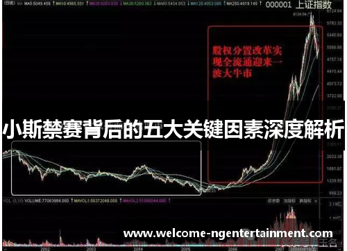 小斯禁赛背后的五大关键因素深度解析