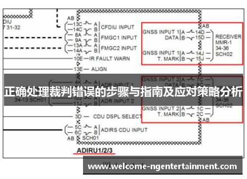 正确处理裁判错误的步骤与指南及应对策略分析