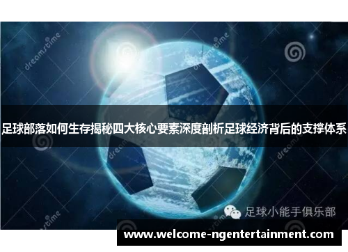 足球部落如何生存揭秘四大核心要素深度剖析足球经济背后的支撑体系